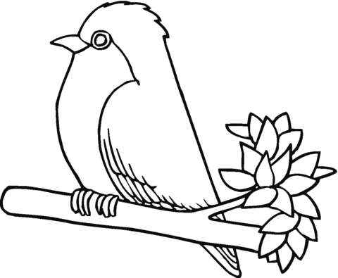 Robin Bird Coloring Page